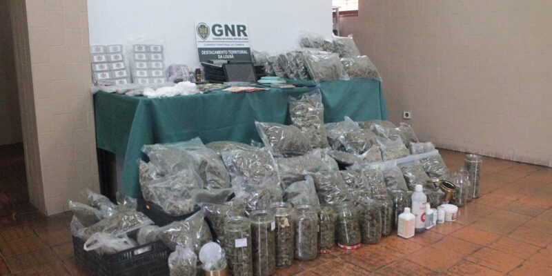 GNR da Lousã desmantela tráfico de droga com sei...