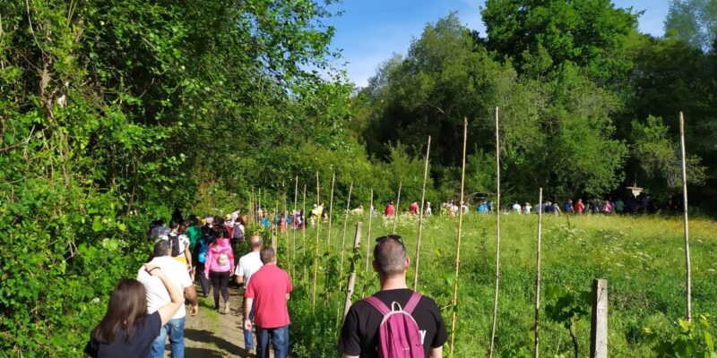 Passeio Pedestre das Gândaras reúne mais de 130 participantes