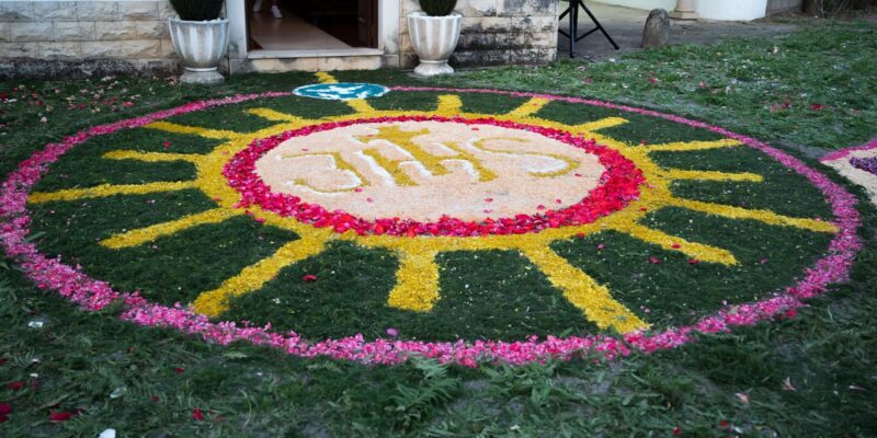 Tradição dos tapetes de flores retomada em Ceira...