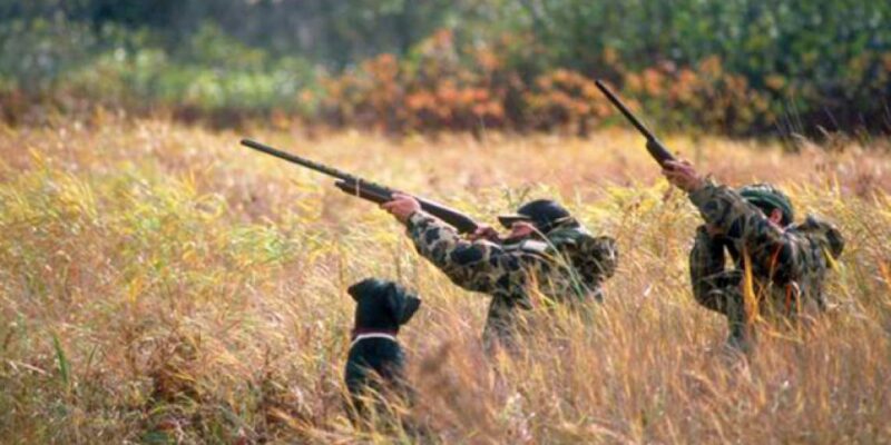 Nova associação quer gerir caça no concelho