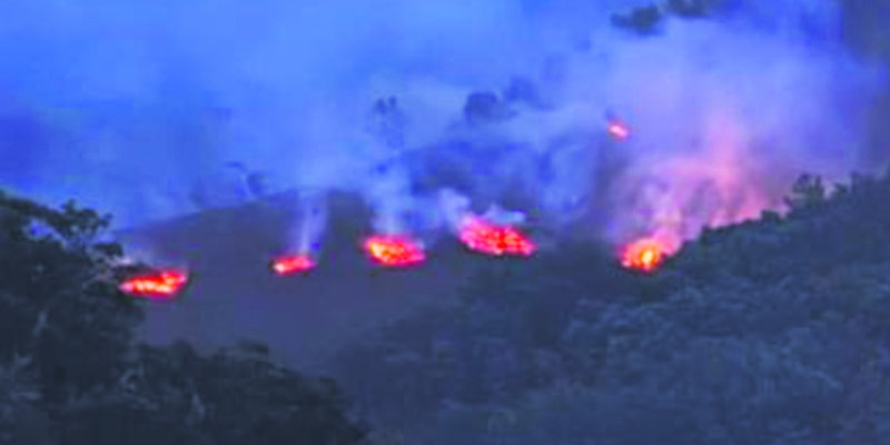 Trevim: Leia também Queima de resíduos florestais mobiliza bombeiros à serra