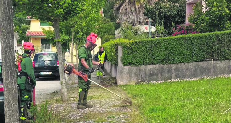 Junta da Lousã e Vilarinho continua a apostar na limpeza urbana