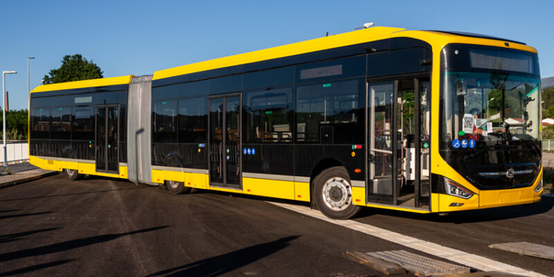 Frota ‘metrobus’ completa até ao fim de verã...