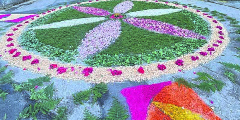 Trevim: Leia também Tapetes de flores voltam as atenções para Ceira dos Vales