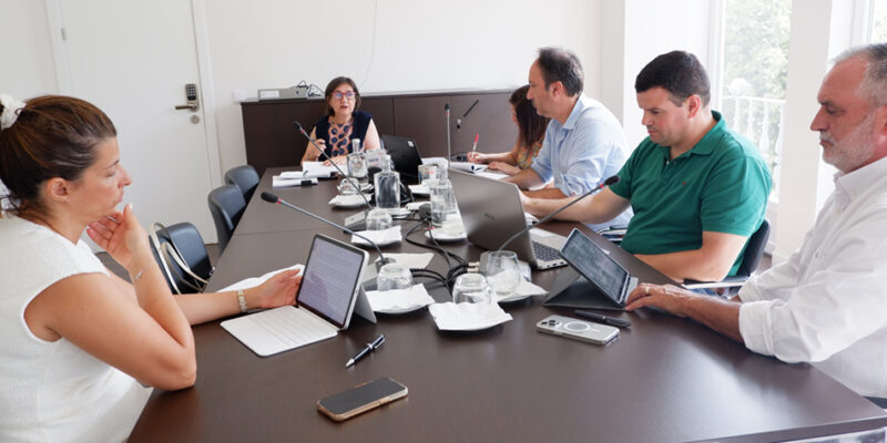 Executivo preocupado com aumento dos ninhos de vespa asiática