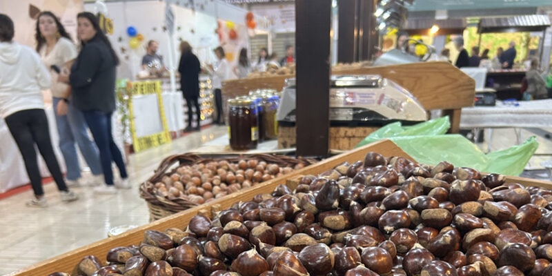 Mais de 100 expositores na Feira do Mel e da Castanha
