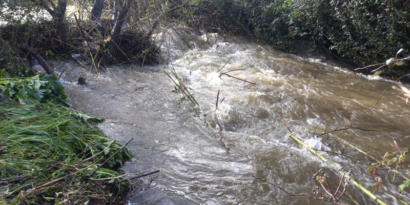 Mau tempo sem “grandes danos a registar”