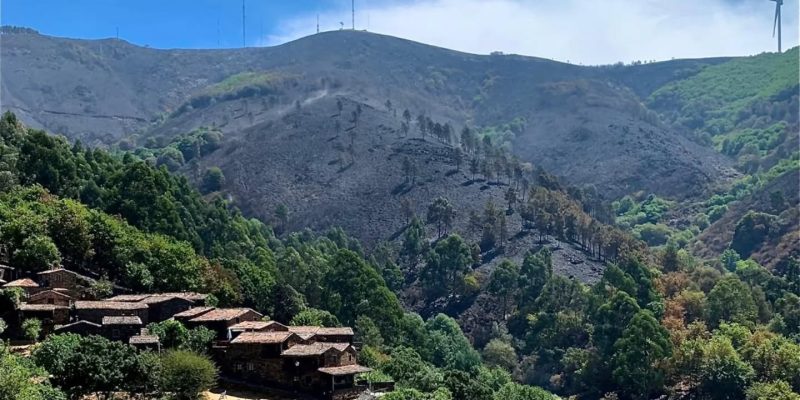Trevim: Leia também Aldeias do Xisto depois das chamas