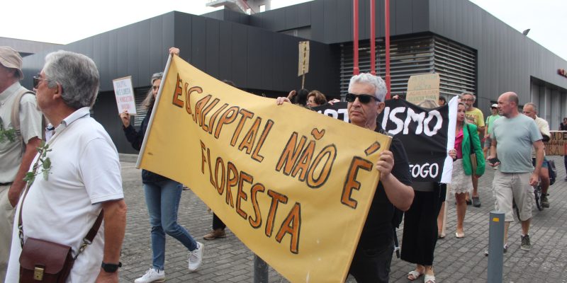 Trevim: Leia também Manifestação alerta para necessidade “urgente” de respeitar o ambiente