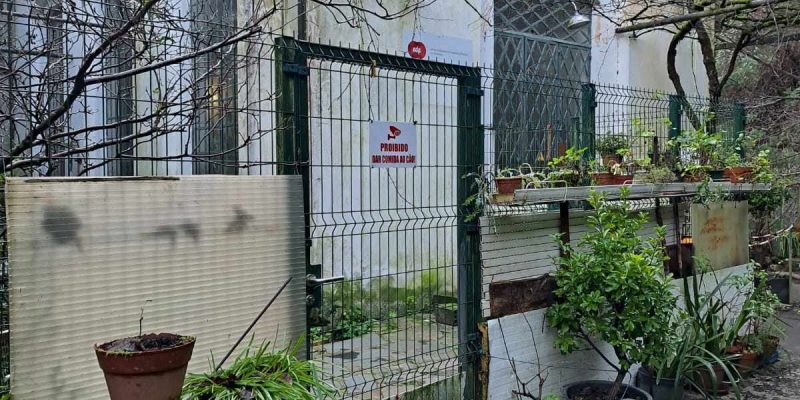 Trevim: Leia também Levada e Central da Ermida ainda sem futuro