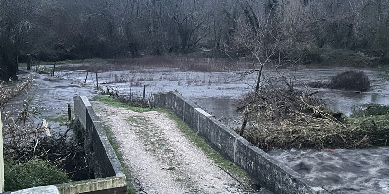 Trevim: Leia também Plano Municipal de Emergência de Proteção Civil ativado para resposta coordenada no território