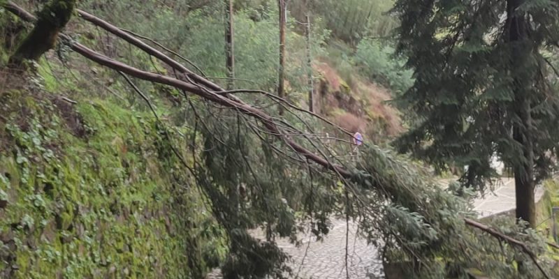 Trevim: Leia também Previstas rajadas de vento até 140 km/h