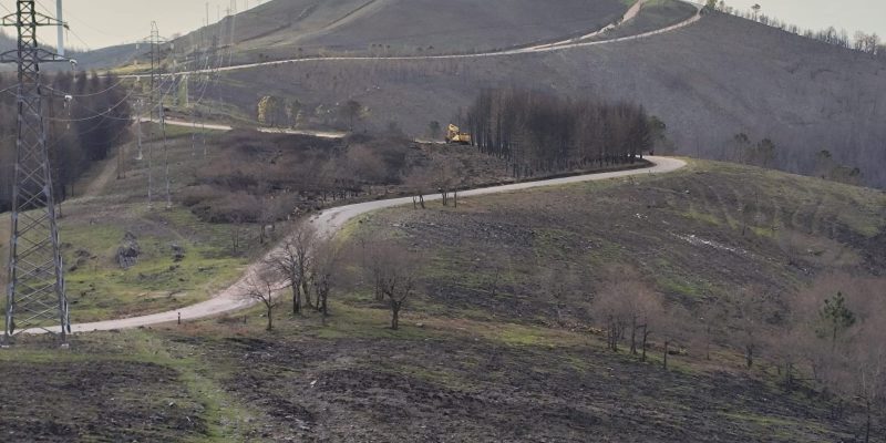 Trevim: Leia também Baldios de Vilarinho aprovam contas e destacam ano intenso de atividade