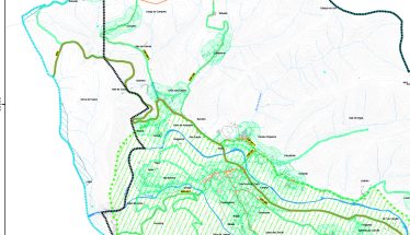 Lousã e Góis reclamam área de 300 hectares