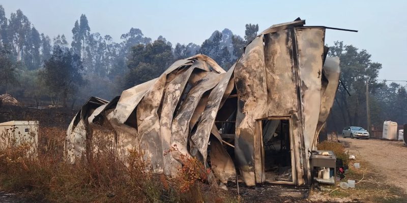 Produtora de mirtilos em Serpins ainda sem ajudas após incêndios