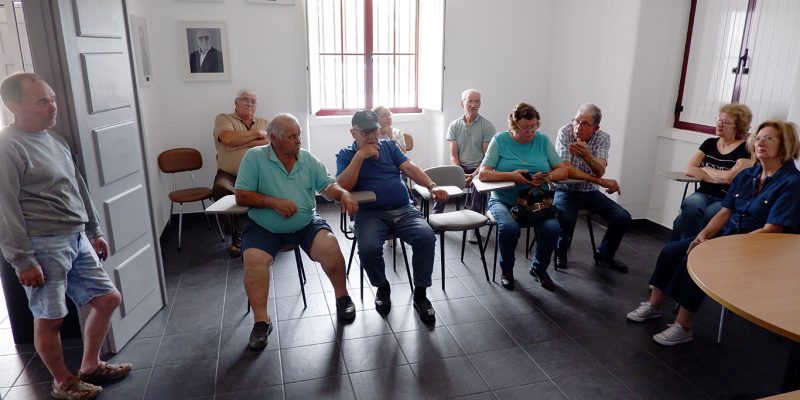 Trevim: Leia também Javalis destroem culturas e causam insegurança em Foz de Arouce