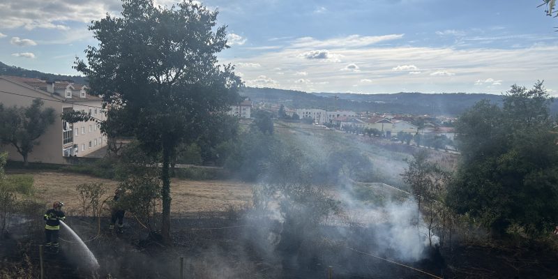 Trevim: Leia também PJ investiga origem de fogo agrícola
