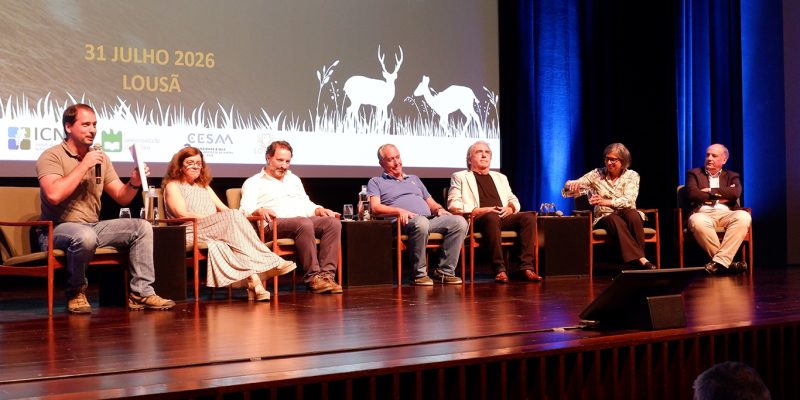 Trevim: Leia também Governo anuncia alterações à lei e apoio aos agricultores prejudicados